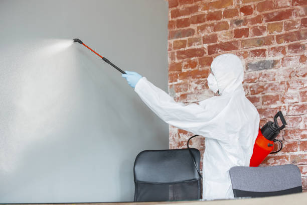 Best HVAC Mold Inspection and Cleaning  in Coburg, OR
