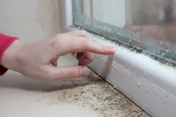 Best Post-Remediation Verification Testing  in Coburg, OR